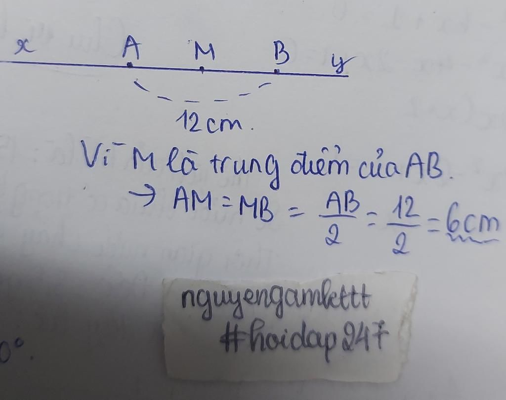 tren-duong-thang-y-lay-hai-diem-a-va-b-goi-m-la-trung-diem-cua-doan-thang-ab-biet-ab-12cm-tinh-m