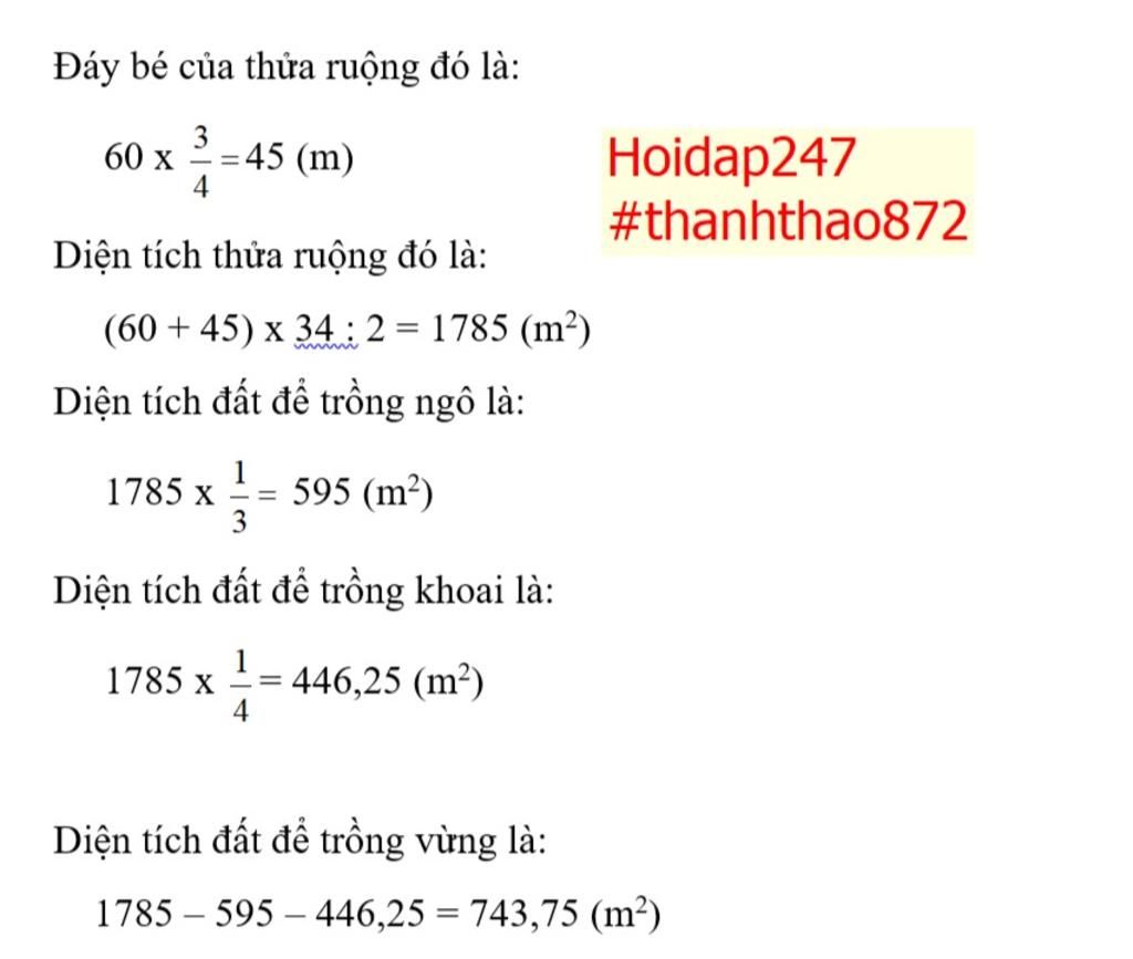 mot-thua-ruong-hinh-thang-co-day-lon-la-60m-day-be-bang-3-4-day-lon-chieu-cao-la-34-m-trong-thua