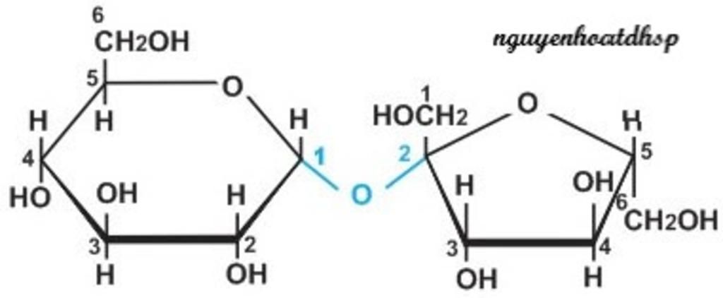 Hóa học 12 Bài 6 Saccarozo tinh bột và xenlulozo