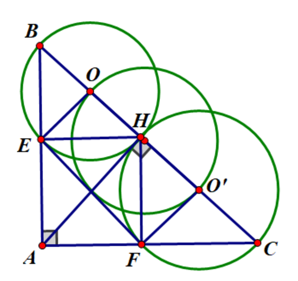 Cho tam giác ABC vuông tại A, AH đường cao. Vẽ đường tròn tâm O ...