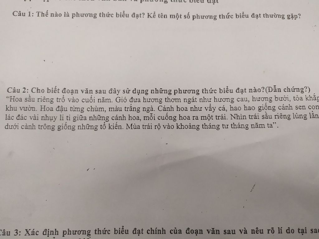 Cau 1 Tháº¿ Nao La PhÆ°Æ¡ng Thá»©c Biá»ƒu Ä'áº¡t Ká»ƒ Ten Má»™t Sá»' PhÆ°Æ¡ng Thá»©c Biá»ƒu Ä'áº¡t ThÆ°á»ng Gáº·p Cau 2 Cho Biáº¿t Ä'oáº¡n VÄƒn Sau Ä'ay Sá»­ Dá»¥ng Nhá»¯ng PhÆ°Æ¡ng Thá»©c