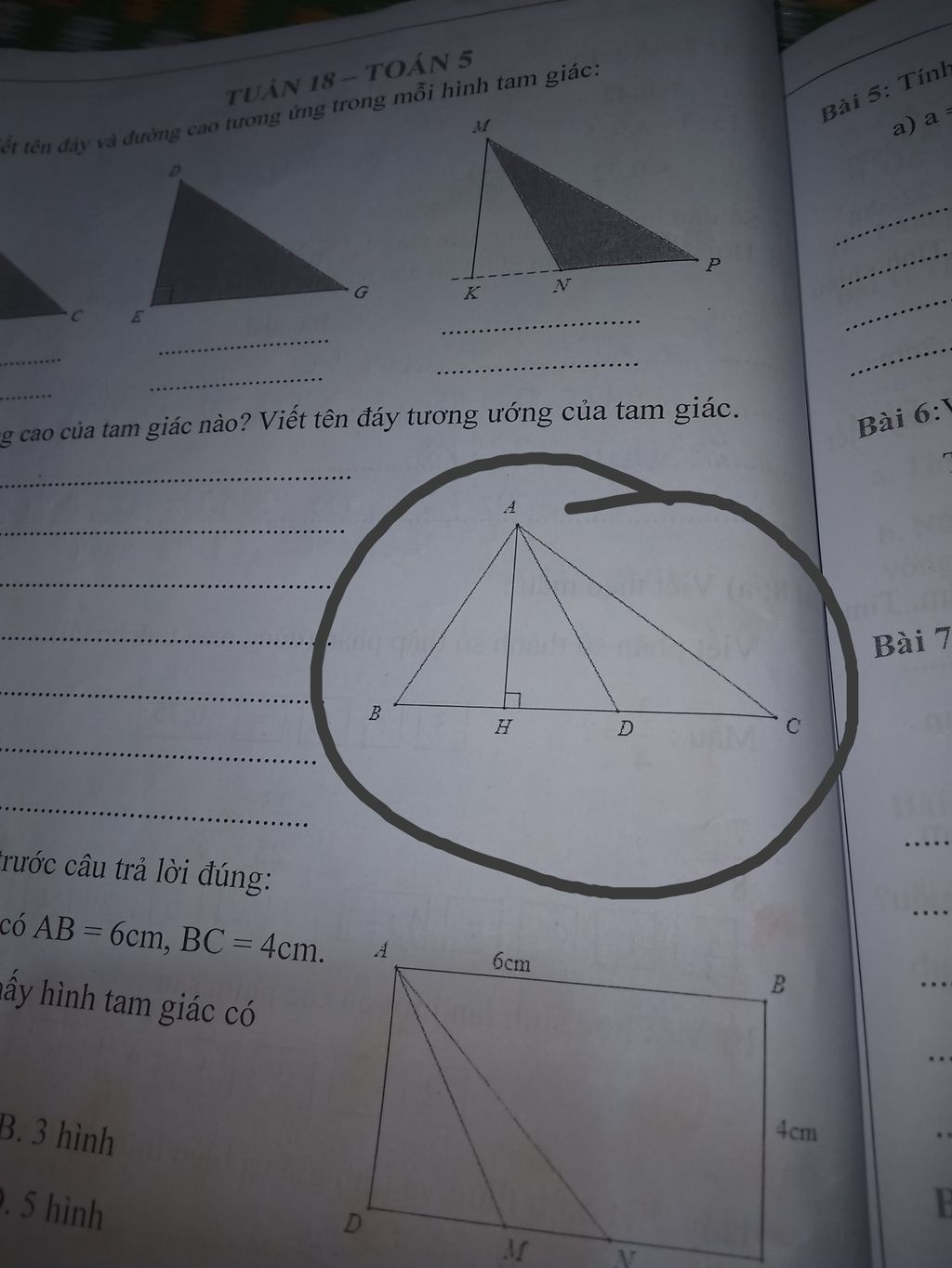 AH là đường cao của hình tam giác nào? 
