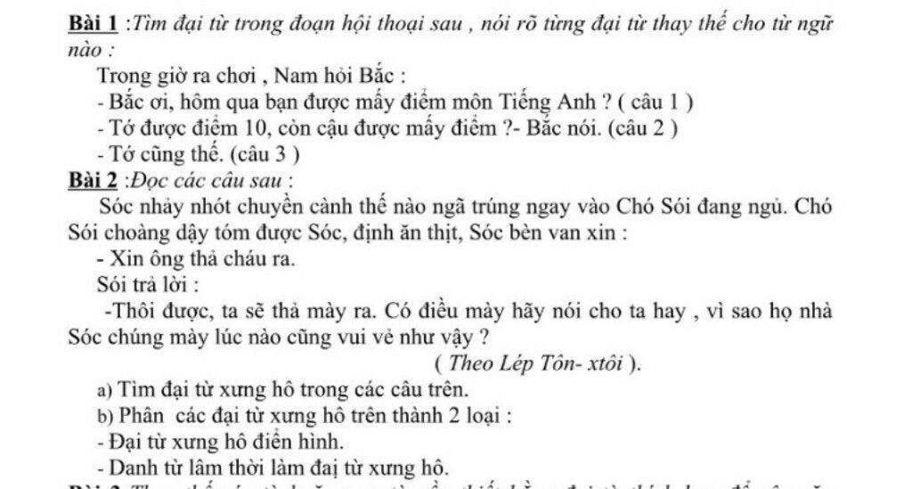 Bài 1:Tìm Đại Từ Trong Đoạn Hội Thoại Sau , Nói Rõ Từng Đại Từ Thay Thế Cho  Từ Ngữ Паo : Trong Giờ Ra Chơi , Nam Hỏi Bắc : -