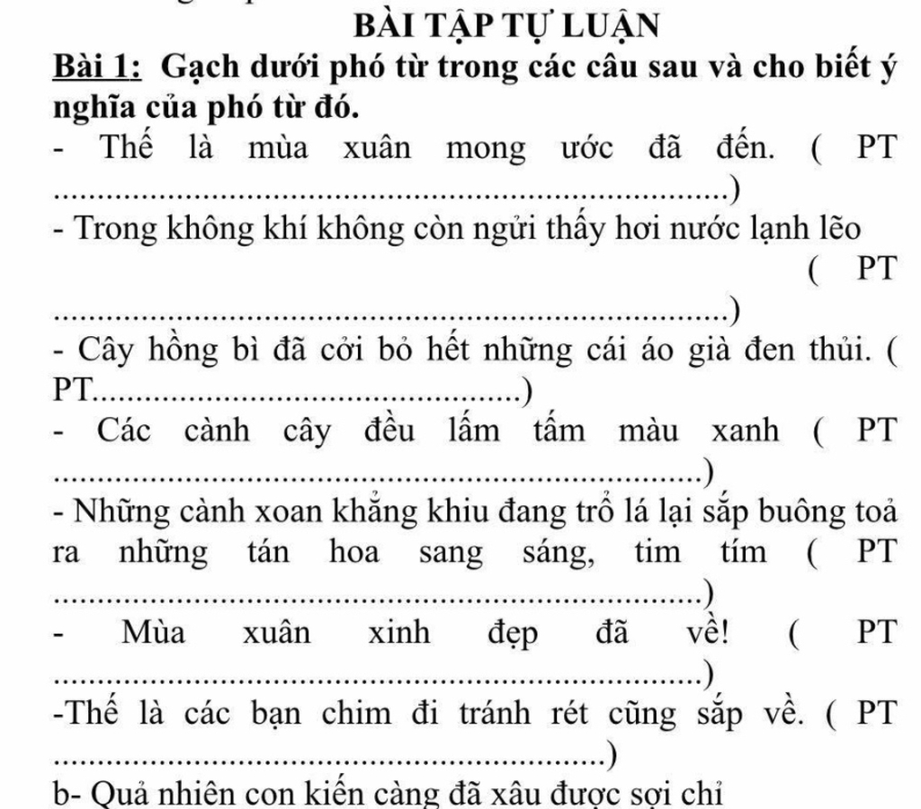 BÀI TẬP TỰ LUẬN Bài 1: Gạch dưới phó từ trong các câu sau và cho ...