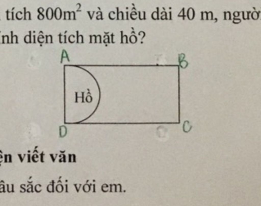 Một miếng đất hình chữ nhật có diện tích 800m vuông và chiều dài ...