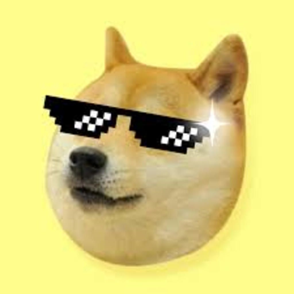 PleasrDAO chi khủng cho Doge Meme  CryptoLeakVN