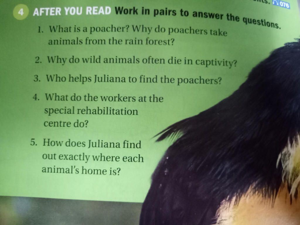 076 OAFTER YOU READ Work in pairs to answer the questions. 1. What is a  poacher? Why do poachers take animals from the rain forest? 2. Why do wild  animals