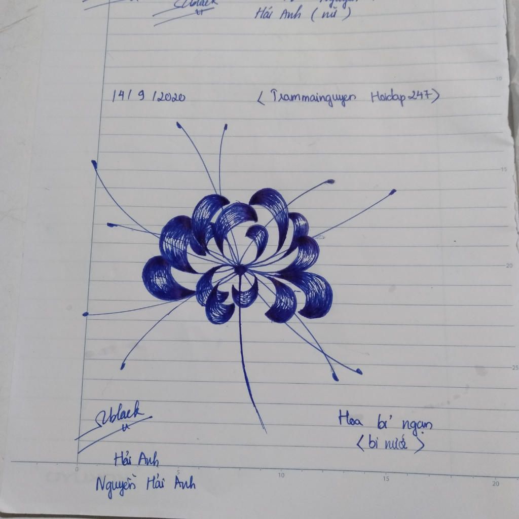 Khám phá với hơn 72 vẽ hoa bỉ ngạn đơn giản siêu đỉnh - thtantai2 ...