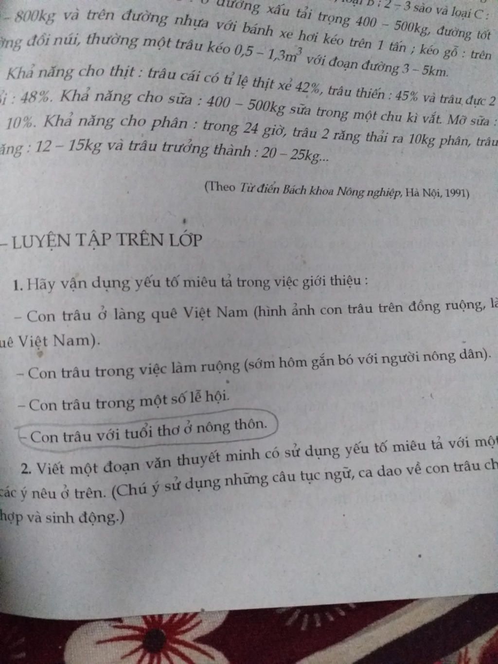 Con trâu: Con trâu là loài vật thân thiện và đáng yêu, luôn đồng hành cùng người nông dân trên đồng ruộng. Hãy cùng nhìn ngắm hình ảnh đáng yêu của những chú trâu đang làm việc để cùng nhau thư giãn và tận hưởng không khí mát mẻ của nông trại.