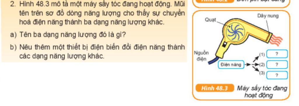 Lý thuyết khái quát về trao đổi chất và chuyển hóa năng lượng  Khoa học tự  nhiên 7 Kết nối tri thức với cuộc sống  SGK Khoa học tự nhiên