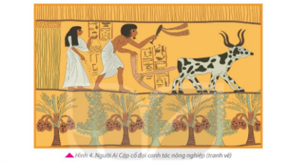 Khám phá sản xuất nông nghiệp của Ai Cập cổ đại, điểm đặc biệt của nền văn hóa này. Hình ảnh đầy màu sắc về các loại cây trồng và phương pháp chăm sóc nông trại chắc chắn sẽ khiến bạn hài lòng.