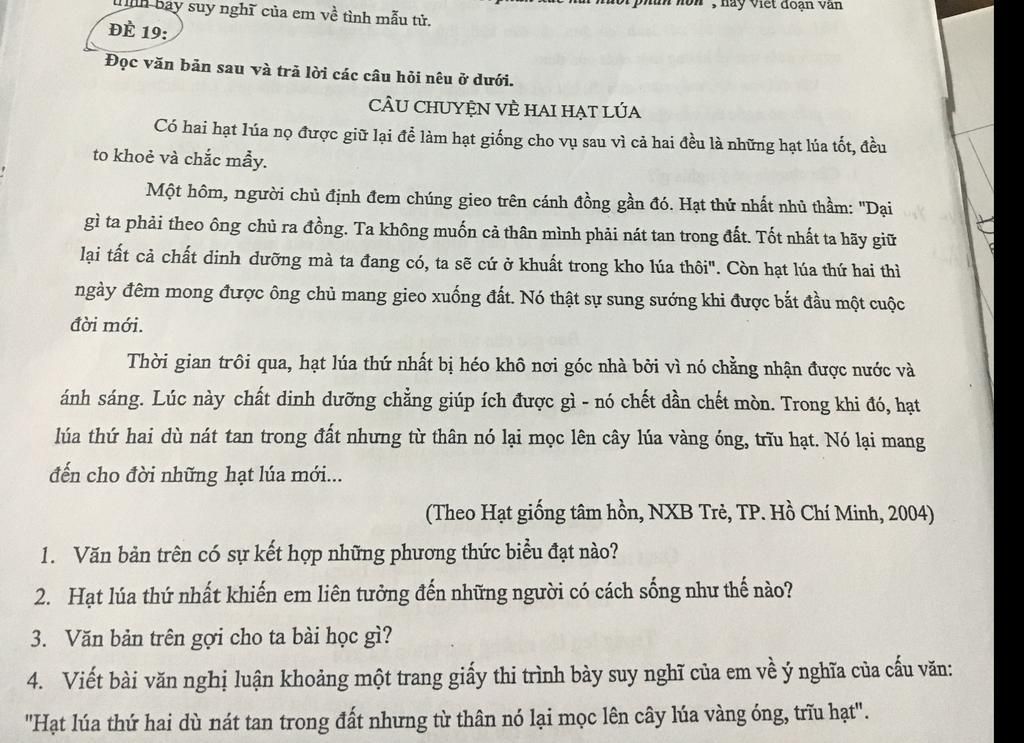 bay suy nghĩ của em về tình mẫu tử. nay Việt đoạn vấn ĐỀ 19: Đọc ...