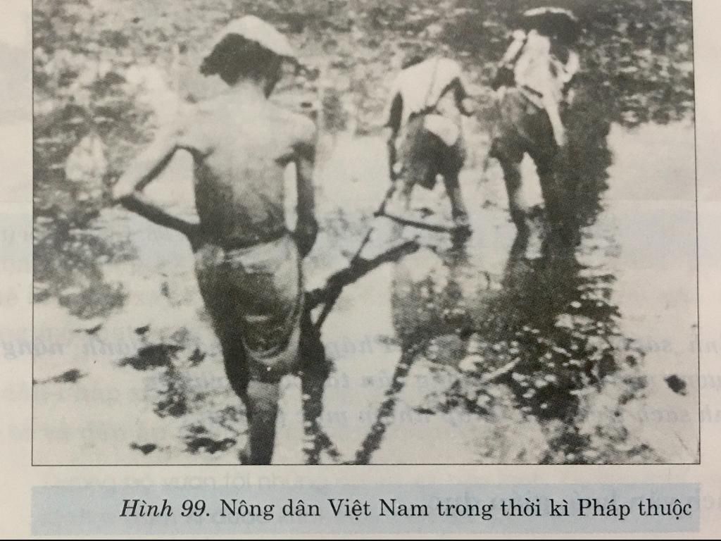 Hình 99. Nông dân Việt Nam trong thời kì Pháp thuộc