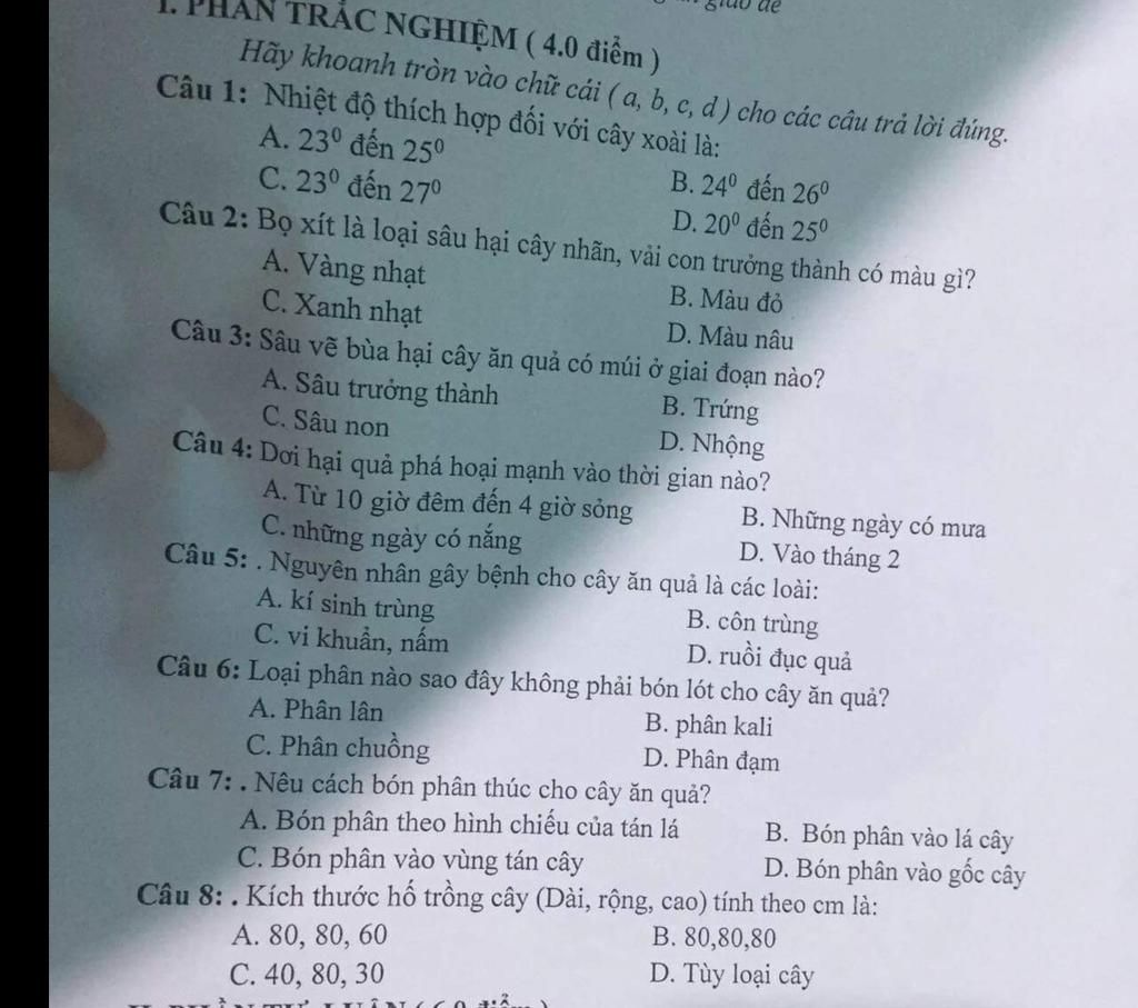 3. Tác động của nhiệt độ cực đoan đến cây xoài