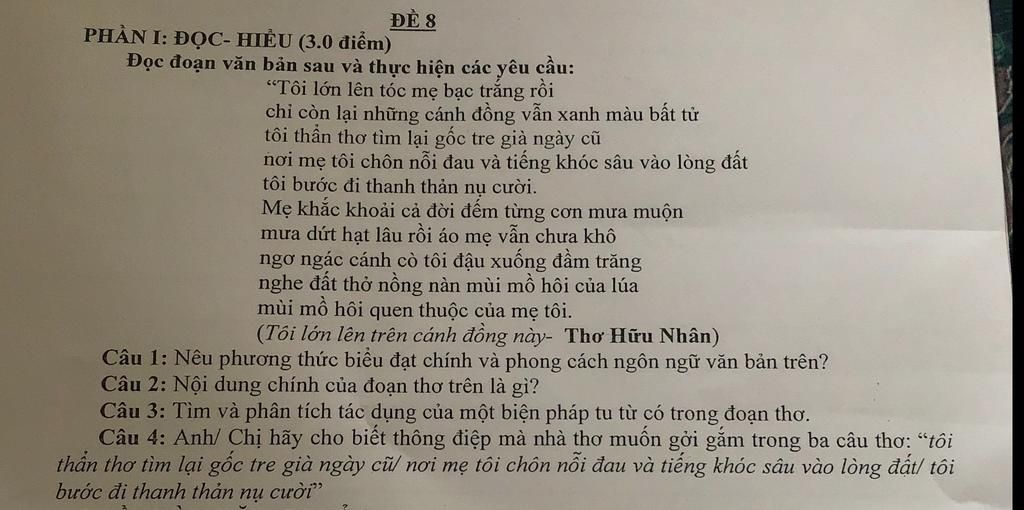 Mẹ tôi là người phụ nữ tuyệt vời nhất trên đời của tôi. Hình ảnh mẹ tôi nụ cười trên môi, tay ôm bé yêu sẽ khiến bạn không khỏi xúc động và thấy yêu đời hơn.