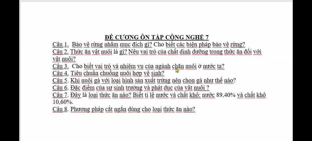 Bảo Vệ Rừng Nhằm Mục Đích Gì?