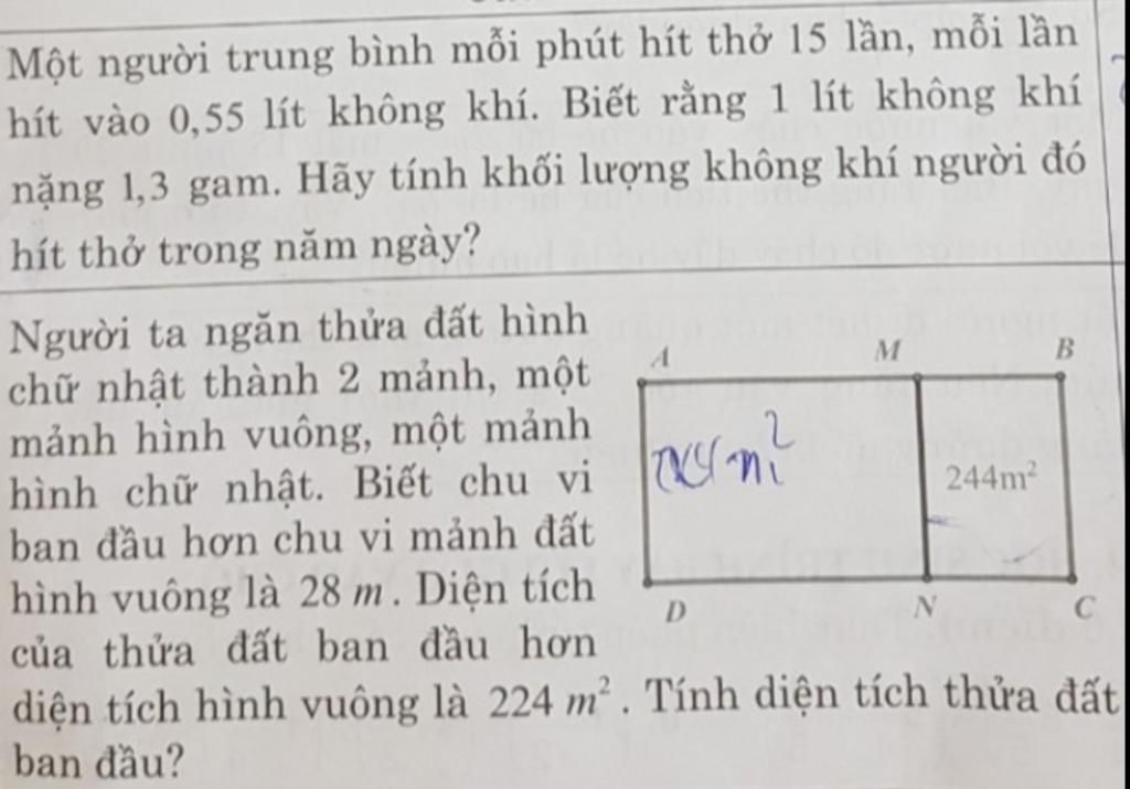 Một Người Trung Bình Mỗi Phút Hít Thở 15 Lần: Bí Quyết Tăng Cường Sức Khỏe Và Hiệu Suất Hô Hấp