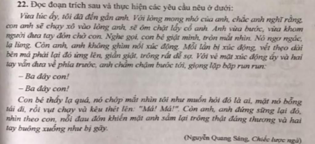 ĐÚNG NHẤT Đoạn văn tổng phân hợp là gì