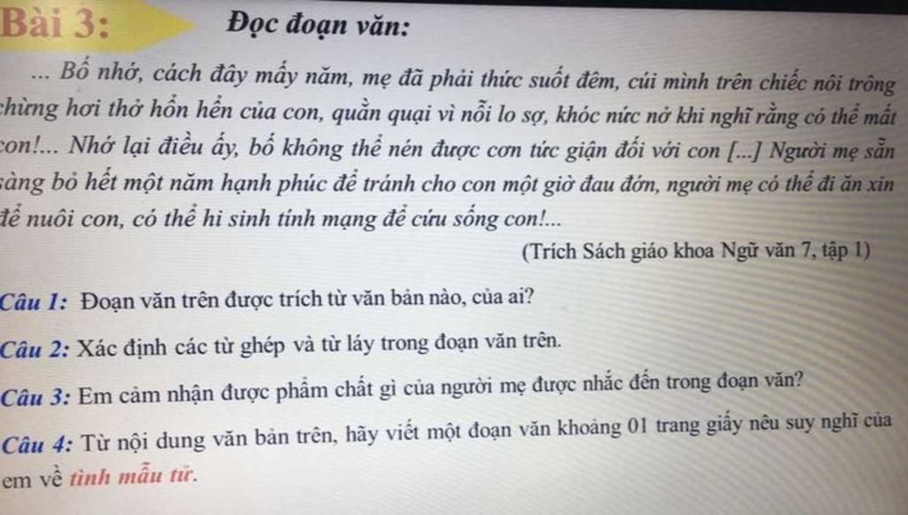 Bài 3: Đọc đoạn văn: Bồ nhớ, cách đây mấy năm, mẹ đã phải thức ...