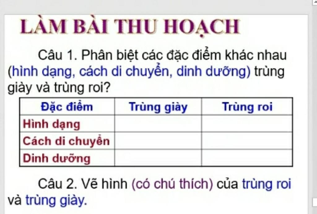 Học tiếng Việt một cách dễ dàng và hiệu quả với chương trình The Vietnamese with Kenneth Nguyen. Hình ảnh và đoạn video sống động giúp bạn nâng cao trình độ tiếng Việt và tăng khả năng giao tiếp với người Việt. Đừng bỏ lỡ cơ hội này để học tiếng Việt trực tuyến.