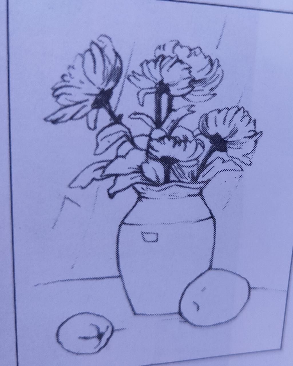 Hãy vẽ tỉnh vật lọ hoa và quả như hình trên , vẽ trên giấy a4 hay ...