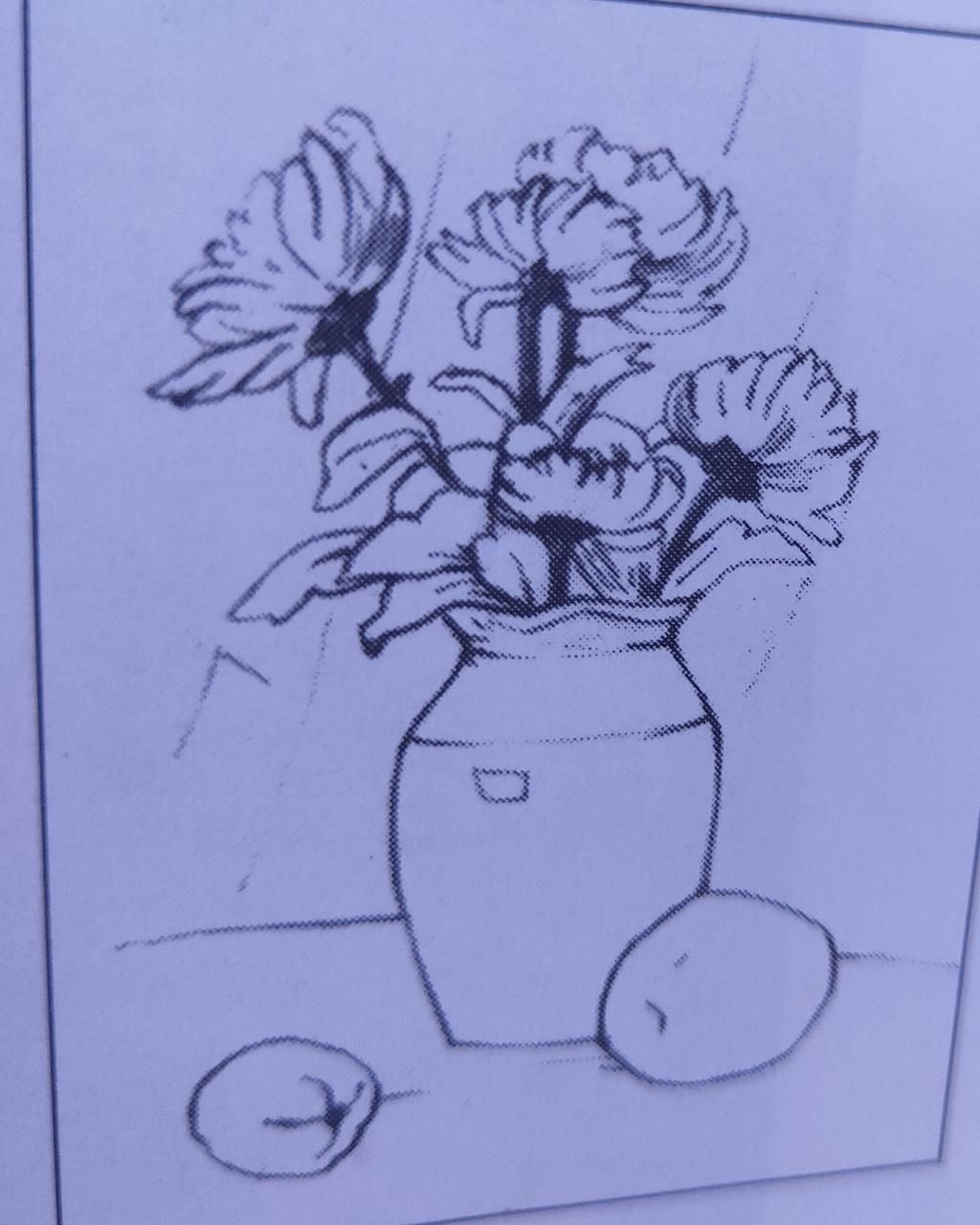 Hãy vẽ tỉnh vật lọ hoa và quả như hình trên , vẽ trên giấy a4 hay ...