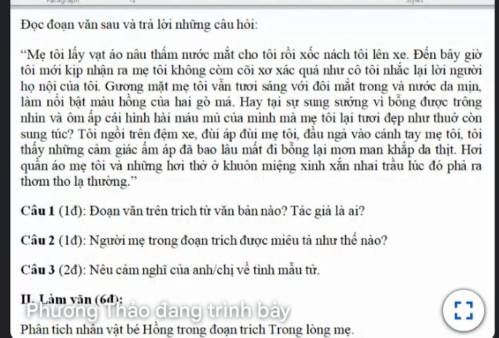 Đọc đoạn văn sau và trả lời những câu hỏi: “Mẹ tôi lấy vạt áo nâu ...