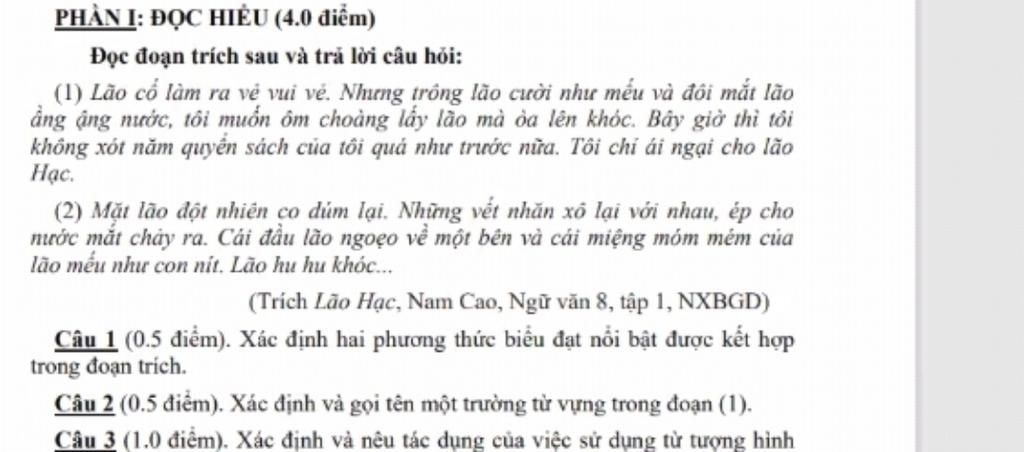 Đọc hiểu: Nếu bạn là một người đam mê tiếng Việt, việc đọc hiểu đó là rất quan trọng. Hãy truy cập ngay các hình ảnh liên quan để cải thiện kỹ năng đọc hiểu của mình và nâng cao trình độ tiếng Việt.