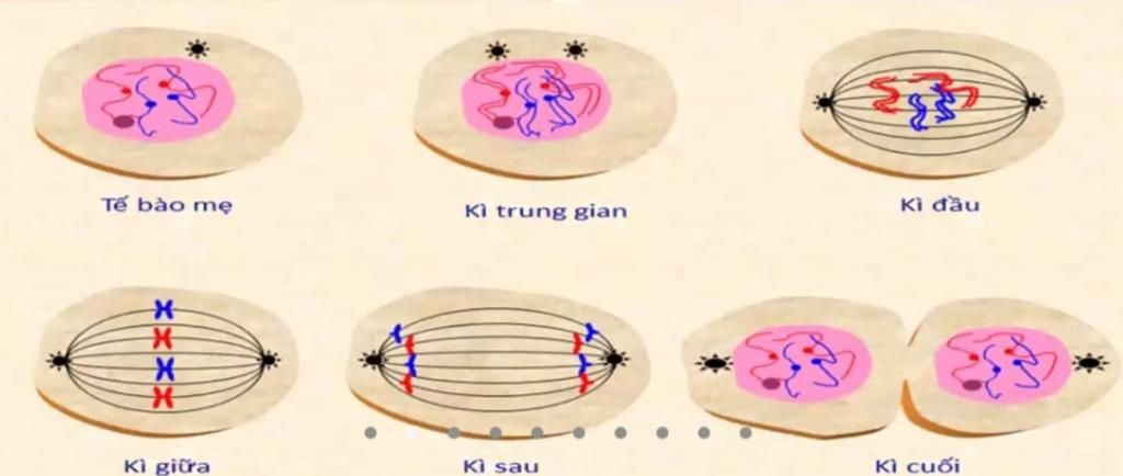 Cao nhân, không biết: Có những người được ví là \