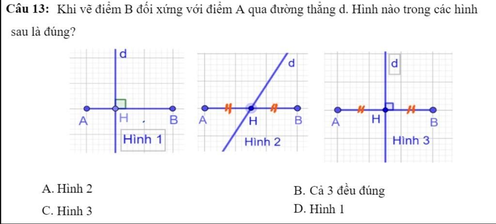 Câu 13: Khi Vẽ Điểm B Đối Xứng Với Điểm A Qua Đường Thăng D. Hình Nào Trong  Các Hình Sau Là Đúng? D. D. H. %23 В A A A B