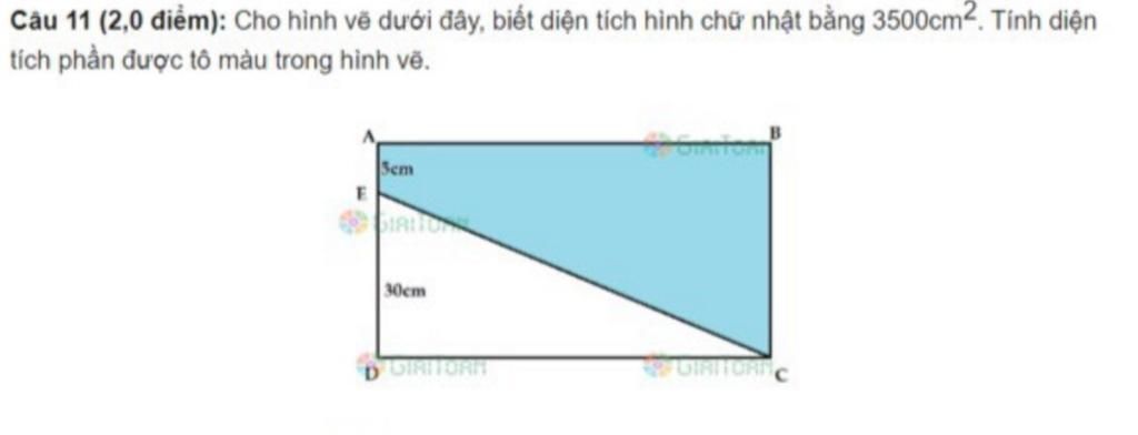 Câu 11 (2,0 Điểm): Cho Hình Vẽ Dưới Đây, Biết Diện Tích Hình Chữ Nhật Bằng  3500Cm2. Tính Diện Tích Phần Được Tô Màu Trong Hình Vẽ. Sem Irio 30Cm  Dginitorn