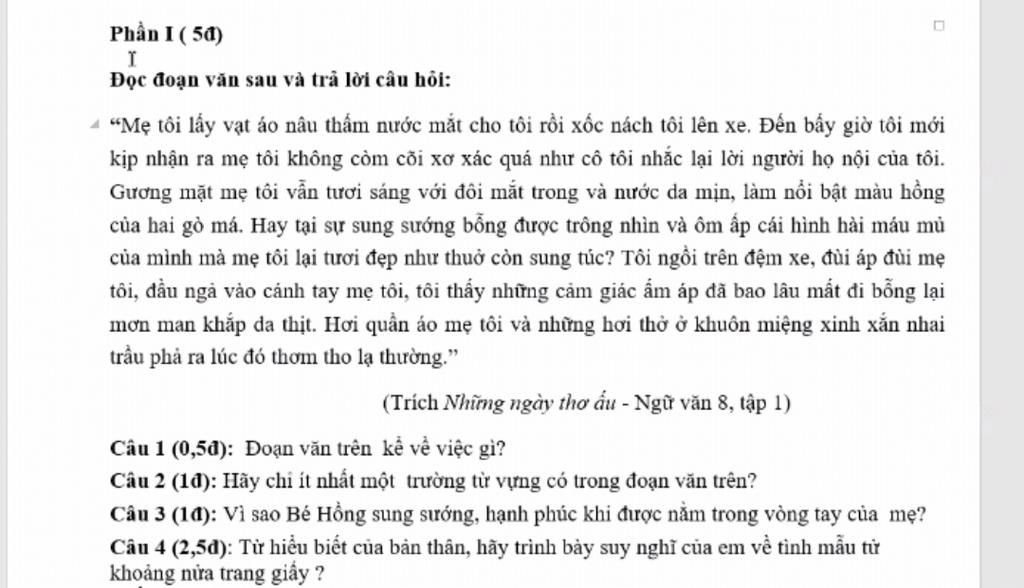 Phần I ( 5đ) Đọc đoạn văn sau và trả lời câu hội: 1 \