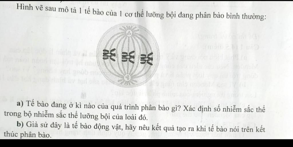 Nếu nhìn thấy 3 điều này trong tranh vẽ của trẻ cha mẹ phải lập tức cảnh  giác Có thể tâm lý con đang rất bất ổn