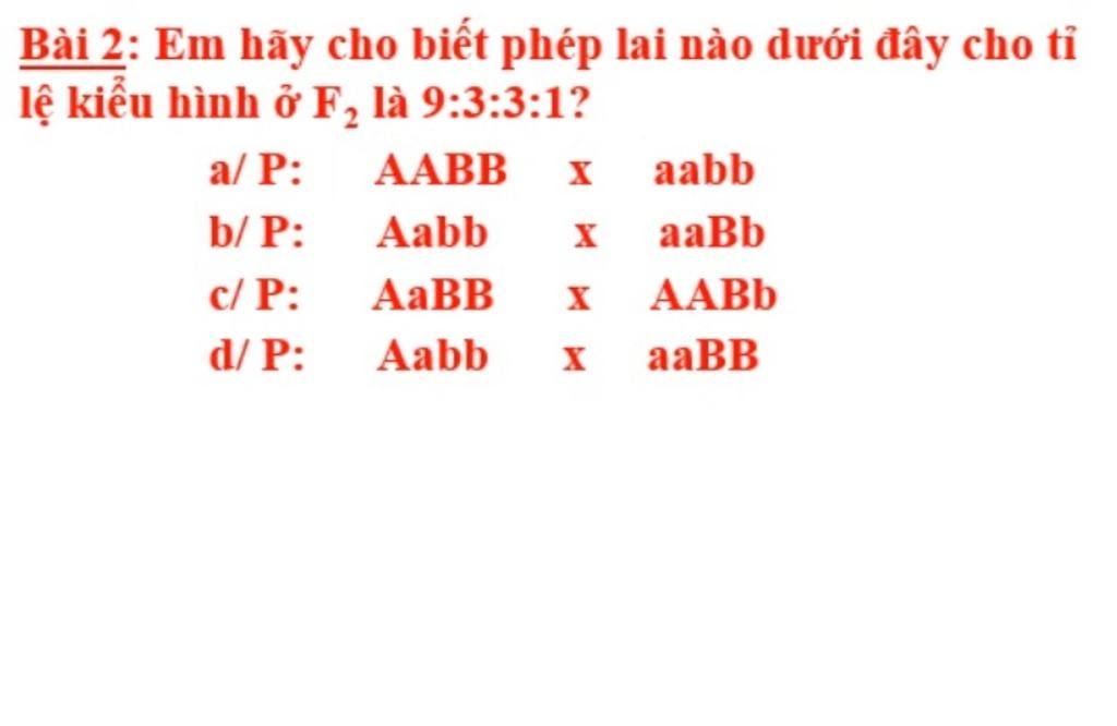 Bài 2: Em Hãy Cho Biết Phép Lai Nào Dưới Đây Cho Tỉ Lệ Kiểu Hình Ở F, Là 9:3 :3:1? A/ P: Aabb Ааbb Х Aabb B/ P: Aabb Aabb C/ P: