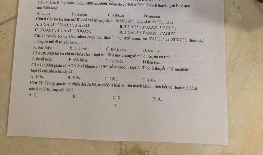 Tại sao vi khuẩn cần gen B có 1400 nucleotit trong gen B?
