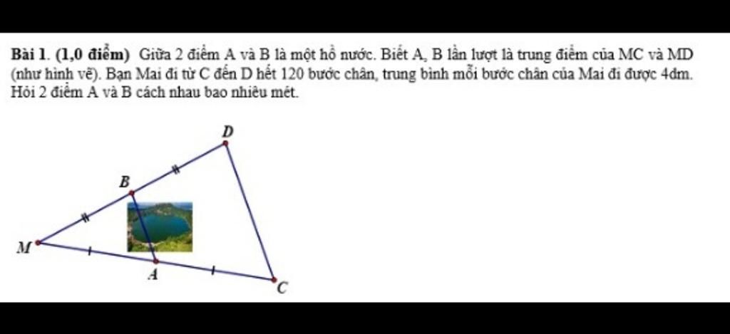 DO ART Hướng Dẫn Vẽ Chân Dung Góc Chính Diện