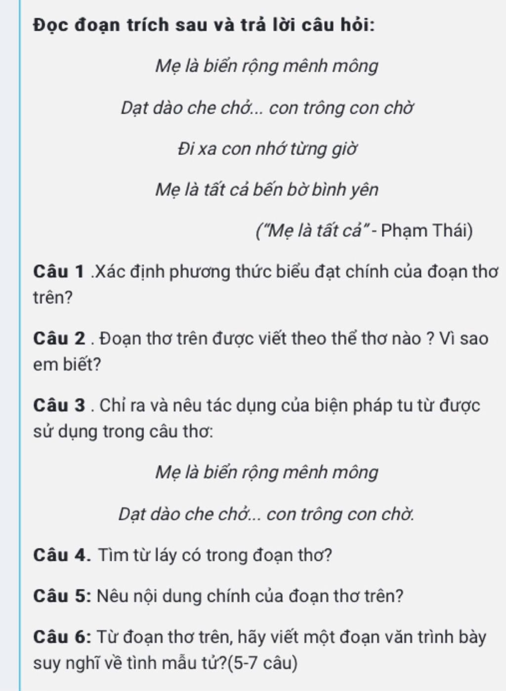 Đọc đoạn trích sau và trả lời câu hỏi: Mẹ là biển rộng mênh mông ...