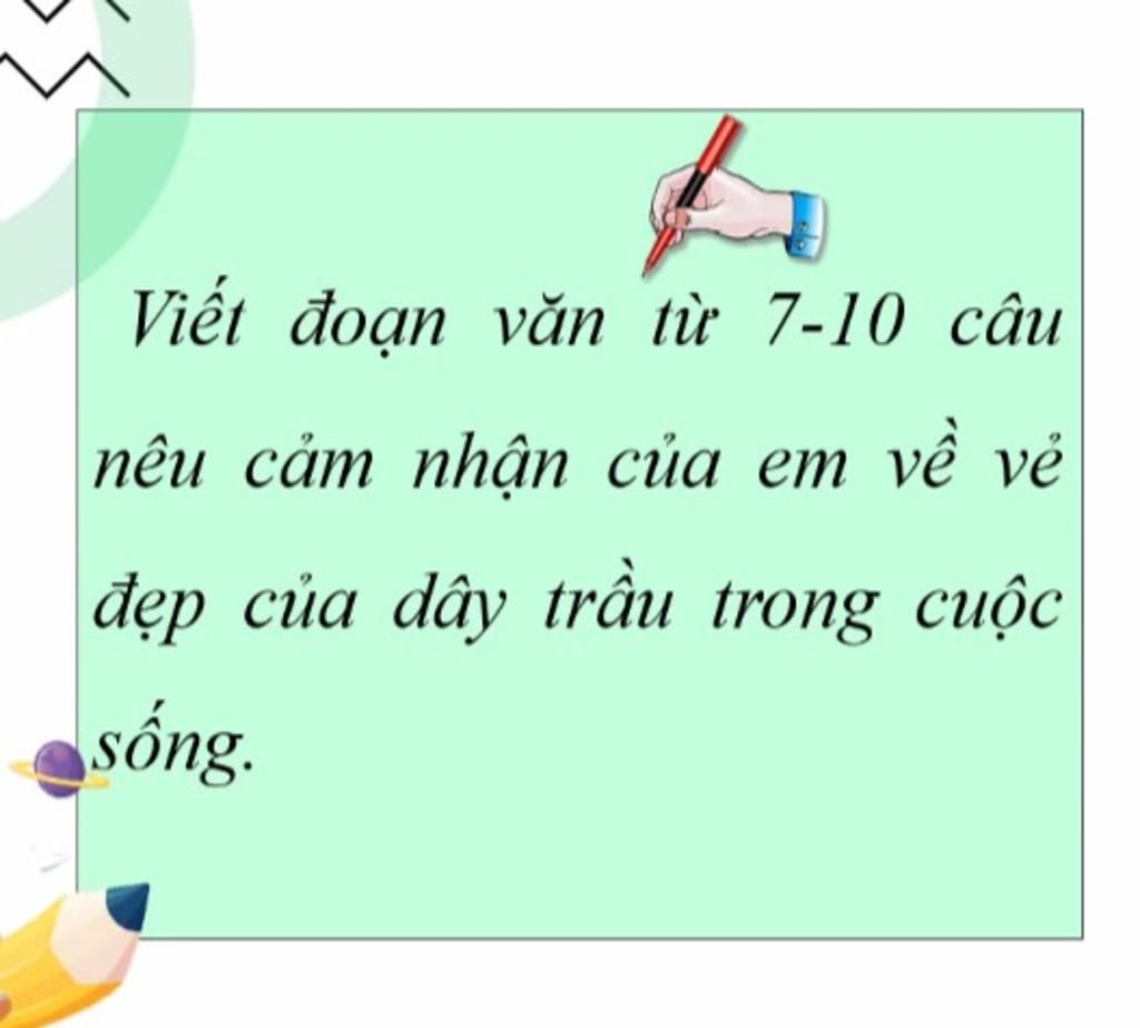 Viết Đoạn Văn Từ 7-10 Câu Nêu Cảm Nhận Của Em Về Vẻ Đẹp Của Dây Trầu Trong Cuộc  Sống.