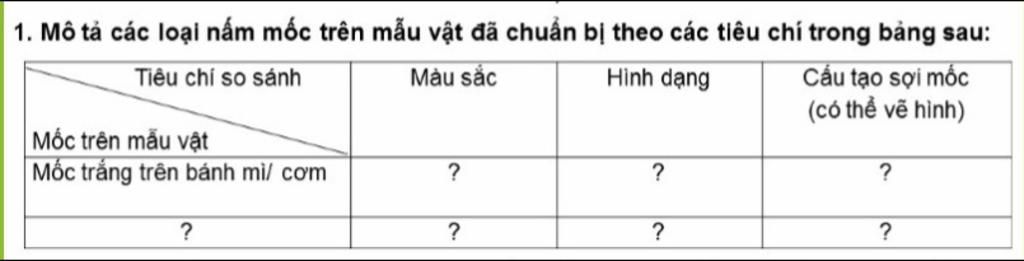 Lý thuyết nấm sinh 6