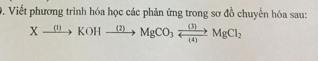 Như vậy, phản ứng giữa KOH và MgCO3 dẫn đến sự hình thành của chất nào?
