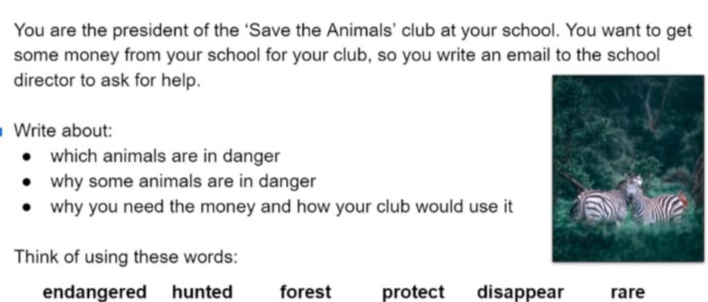 You are the president of the 'Save the Animals' club at your school. You  want to get some money from your school for your club, so you write an  email to th