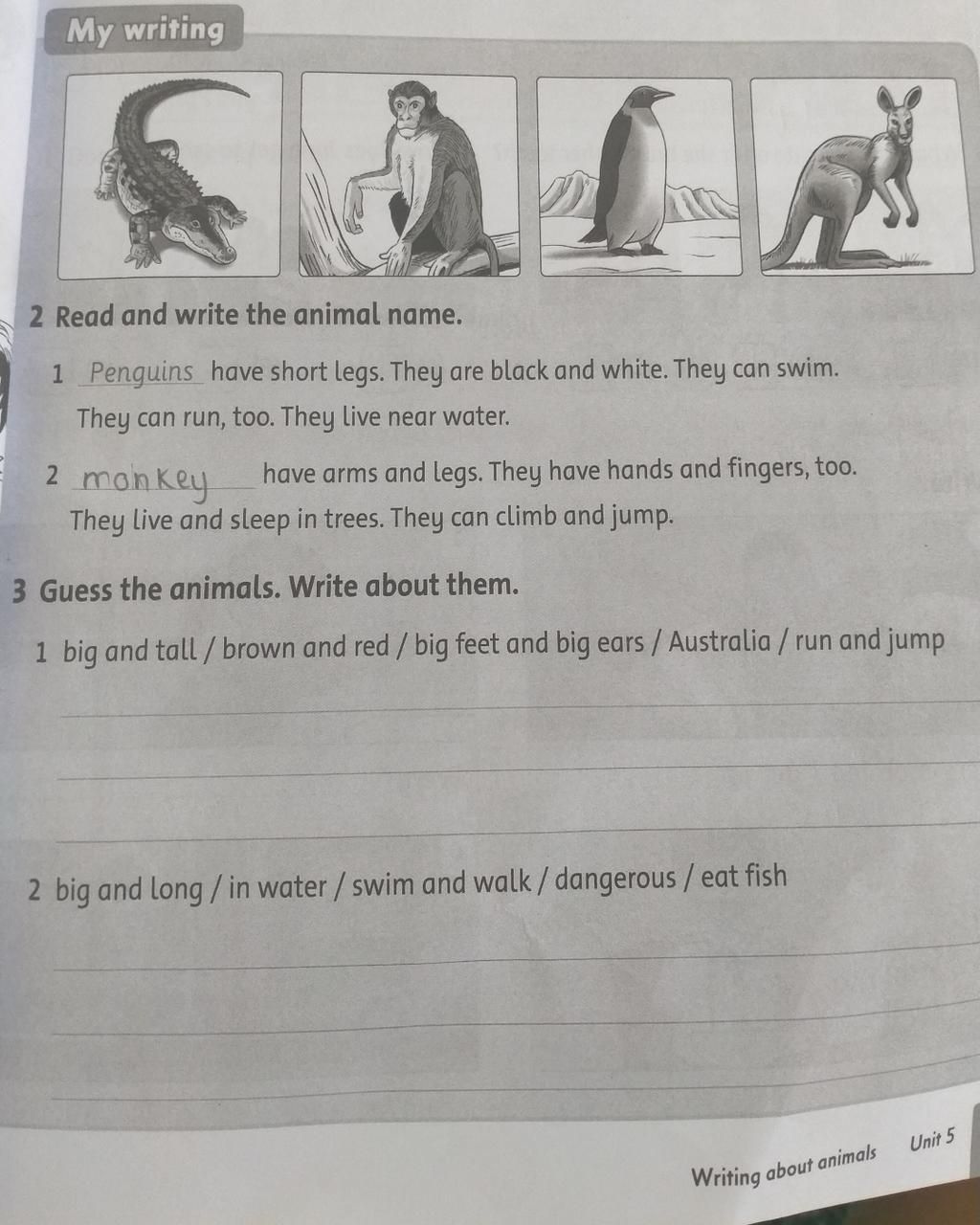 My writing 2 Read and write the animal name. 1 Penguins have short legs. They are black and white. They can swim. They can run, too. They live near water. My writing 2 Read and write the animal name. 1 Penguins have short legs. They are black and white. They can swim. They can run, too. They live near water.