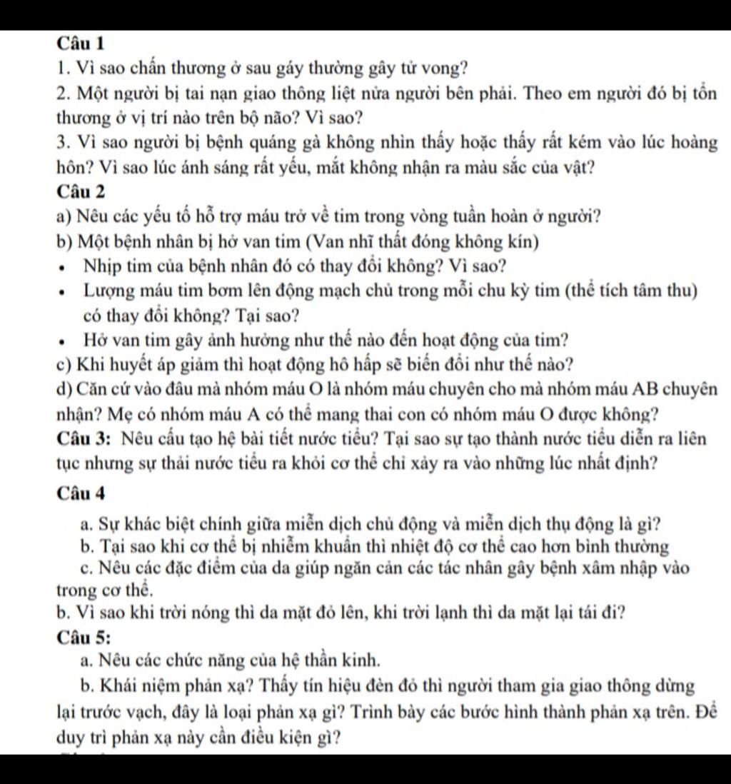 Giúp Em Với Ạ :<< Không Cần Làm Dài Quá Đâu, Đủ Ý Là Đượccâu 1 1. Vì Sao  Chấn Thương Ở Sau Gáy Thường Gây Tử Vong? 2. Một Người Bị
