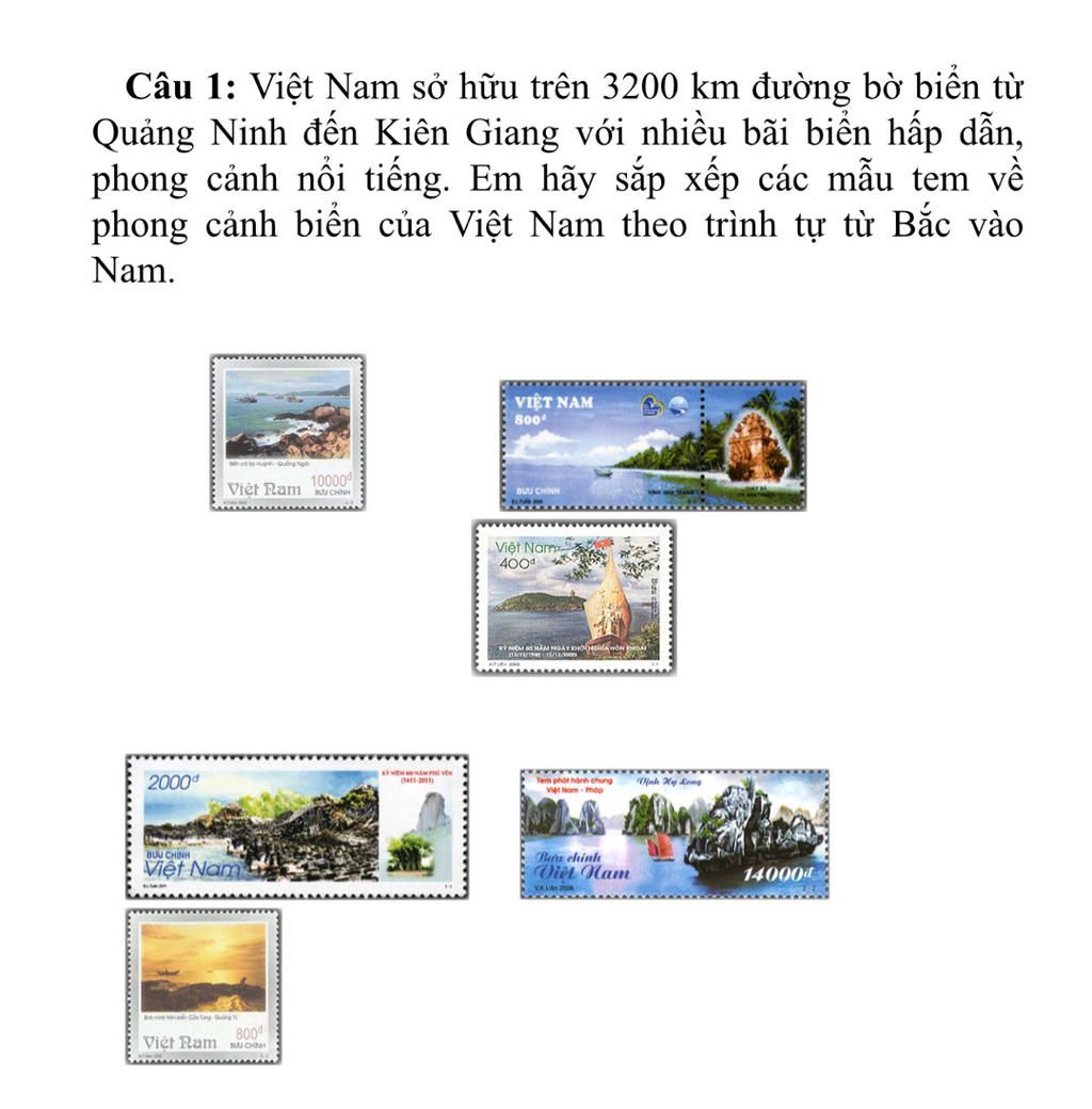 Giúp mình với , bài này để mình dự thi . Cảm ơn Vì các đáp án Câu 1: Việt  Nam sở hữu trên 3200 km đường bờ biển từ Quảng Ninh