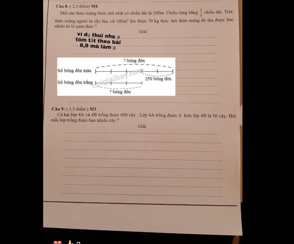 Vi Dụ Mik để Trong Giấy ấy ạ Cac Bạn Lam Hơi Giống Nha ạ Lam Hộ Mik Thank Youcau 8 2 5 điểm M4 Một San Thửa Ruộng Hinh Chữ Nhật