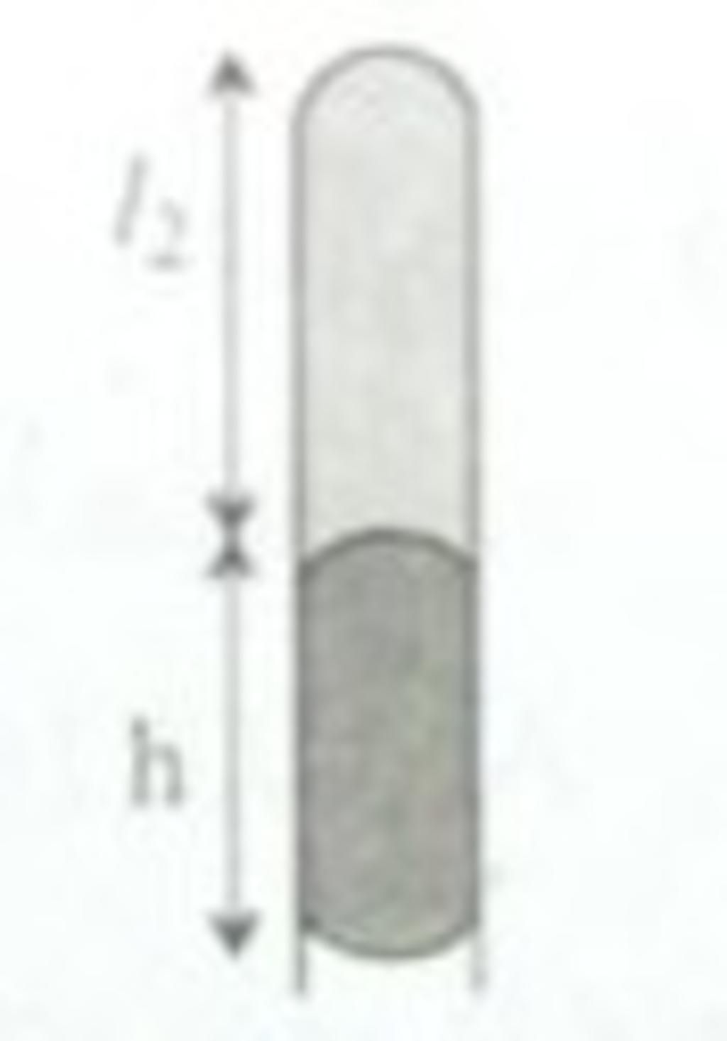 large_1647409131221.jpg