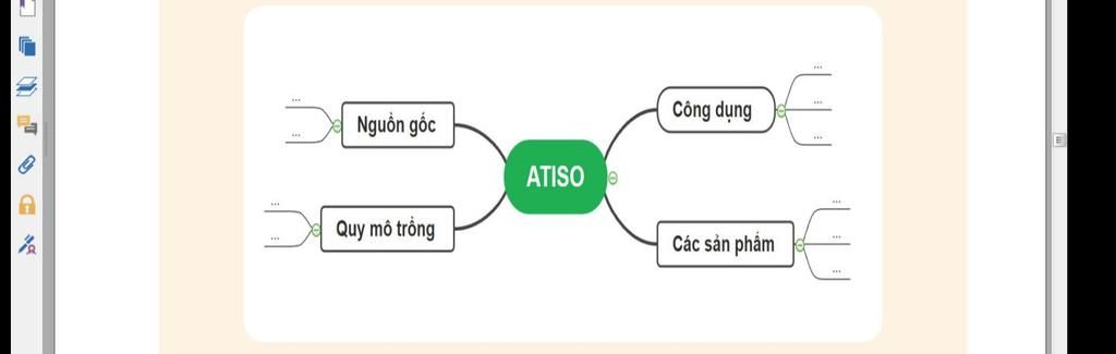 Công dụng Nguồn gốc ATISO Quy mô trồng Các sản phẩm
