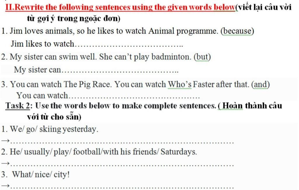  the following sentences using the given words below(viết lại câu  vời từ gợi ý trong ngoặc đơn) 1. Jim loves animals, so he likes to watch  Animal