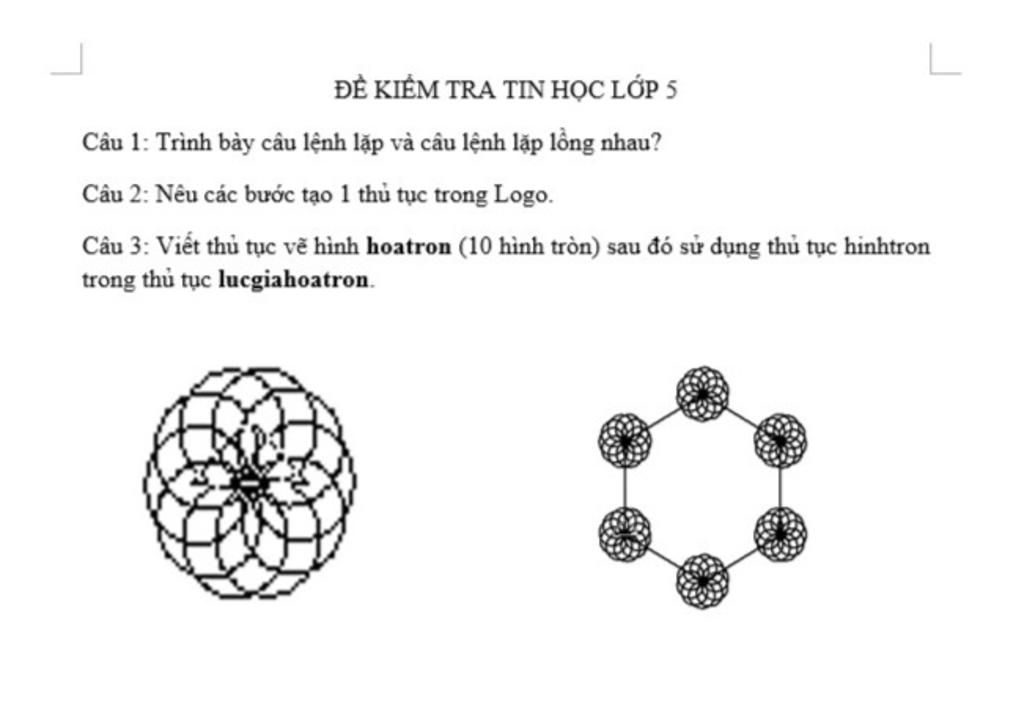 ĐỀ KIỂM TRA TIN HỌC LỚP 5 Câu 1: Trình bày câu mệnh lệnh lặp và câu ...