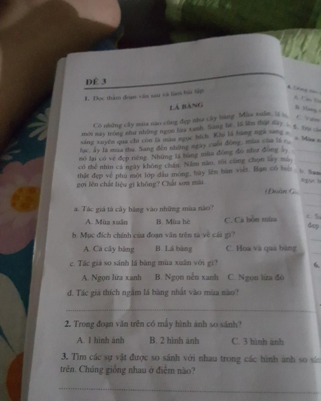 DE 3 1. Đọc thảm doạn văn sau và làm hai tập LA BANG Có những cây mùa nào cũng đẹp như cây bàng Mùa xuân là t mới này trông như những ngọn lửa xamnh bang l